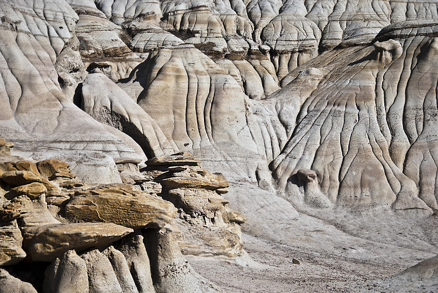 Hoodoo Fascination Photograph by Robin Webster