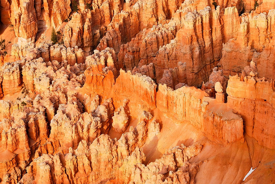 Hoodoo Wonderland - Bryce Canyon Photograph