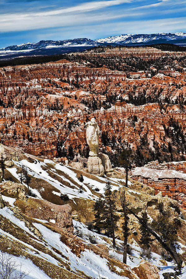 HooDoos at Bryce Photograph by Evie Carrier