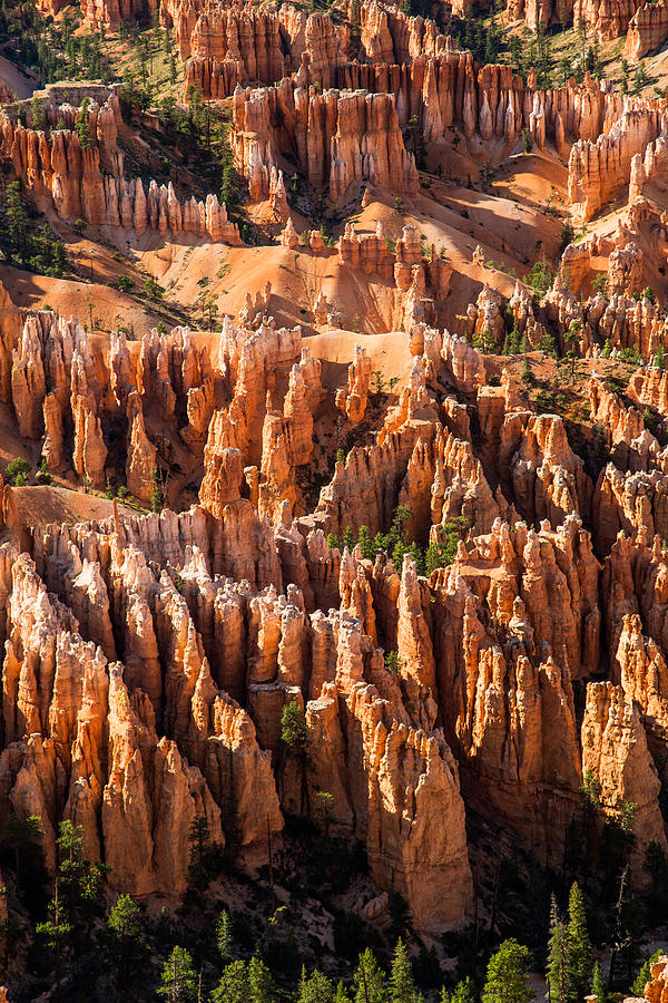 Hoodoos at Bryce Photograph by Levin Rodriguez