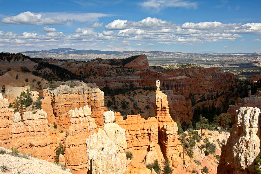 Hoodoos in the Sunlight in Bryce Canyon NP Photograph by Jean Clark