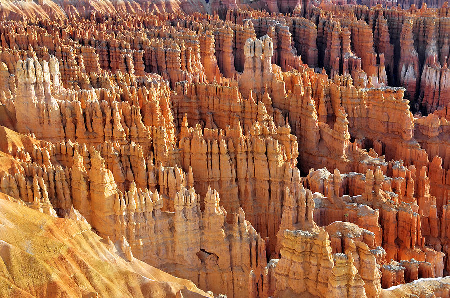 Hoodoos Of Bryce Canyon Photograph by Dan Myers