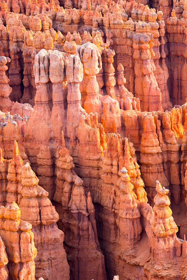Hoodoos of Bryce Photograph by Jim Snyder