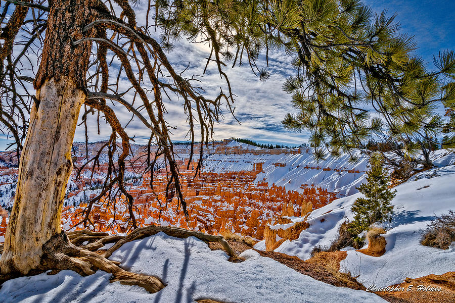 Nature Photograph - Hoodos in Winter by Christopher Holmes