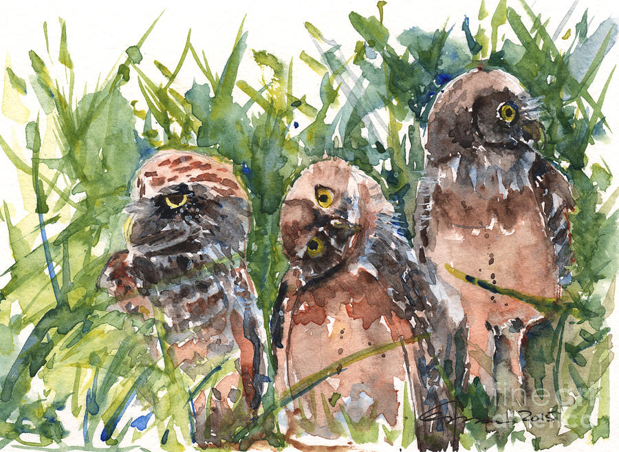 HooHoos on First Burrowing Owls Painting by Claudia Hafner