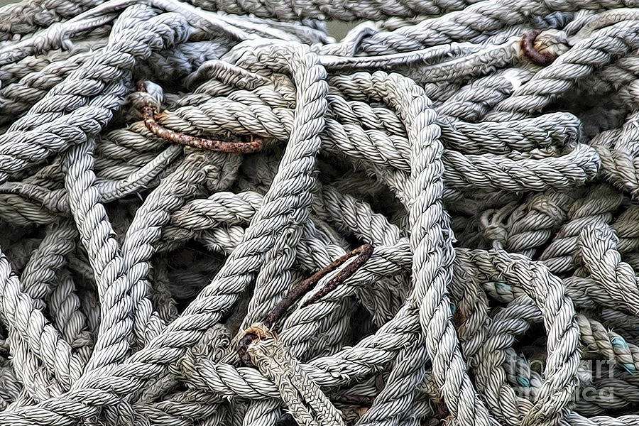 Hook in a mess of rope Photograph by Dan Friend