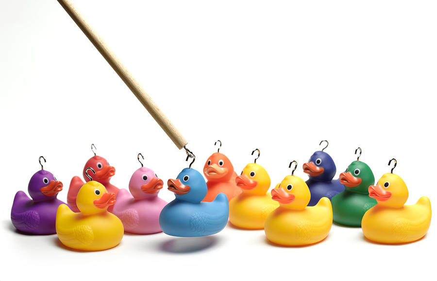 Hooking multi coloured rubber ducks Photograph by Peter Dazeley