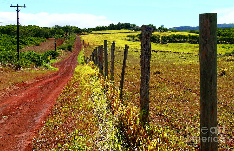 Hoolehua 40 Acres Photograph by James Temple