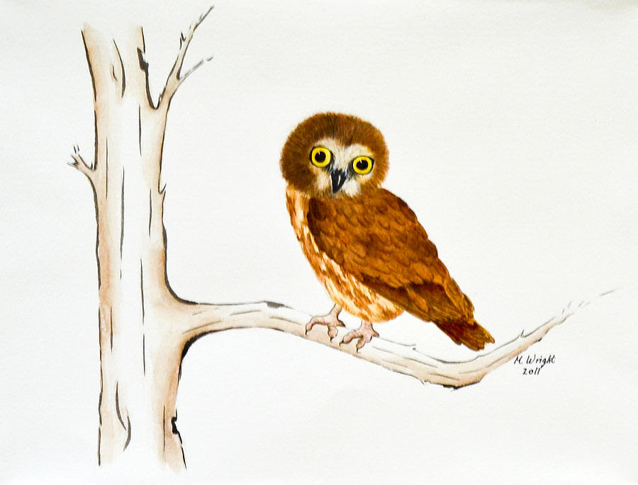 Owl Painting - Hoos a Baby Owl? by Marcia Wright