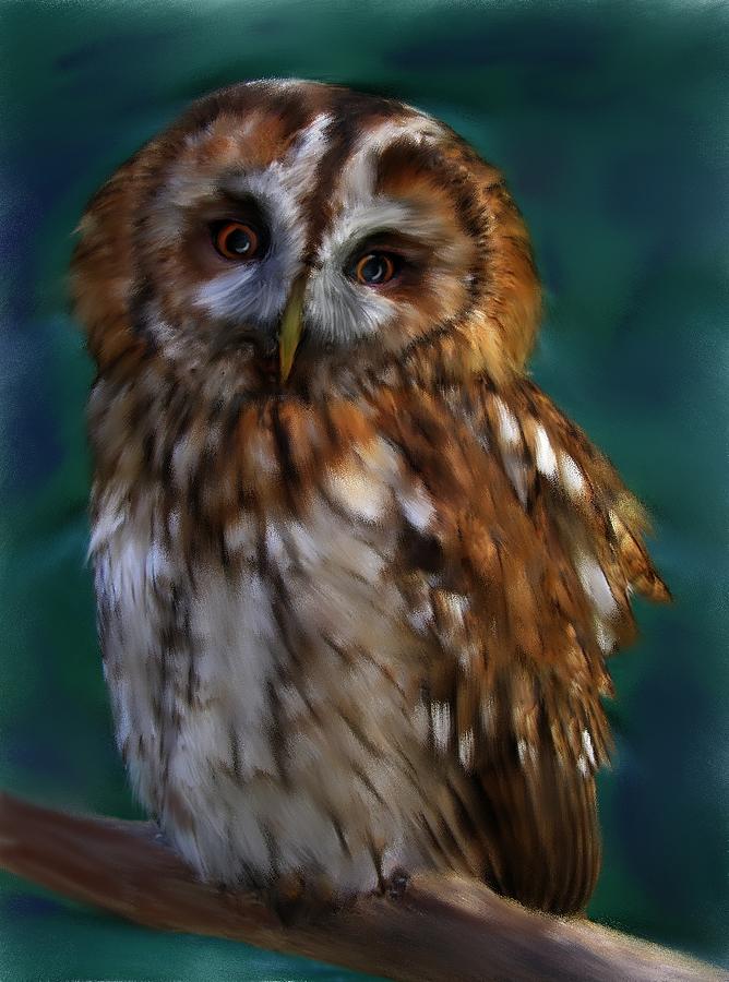 Hoot Painting by Shere Crossman