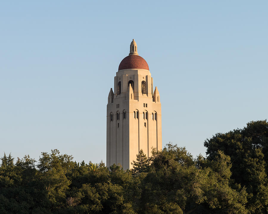 Stanford University Photograph - Hoover Tower Stanford University by Priya Ghose