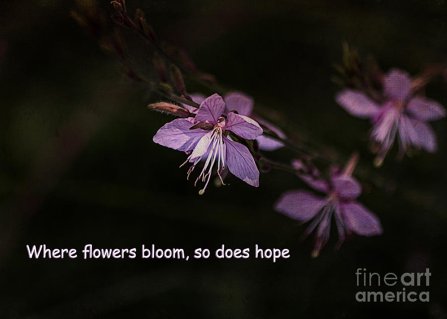 Summer Photograph - Hope Blooms by Janice Pariza