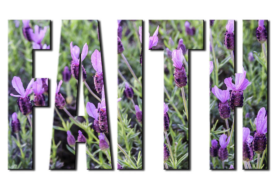 Faith in Spanish Lavender on White from the Faith Hope and Love Series by Karen Stephenson Faith in Spanish Lavender on White from the Faith Hope and Love Series by Karen Stephenson