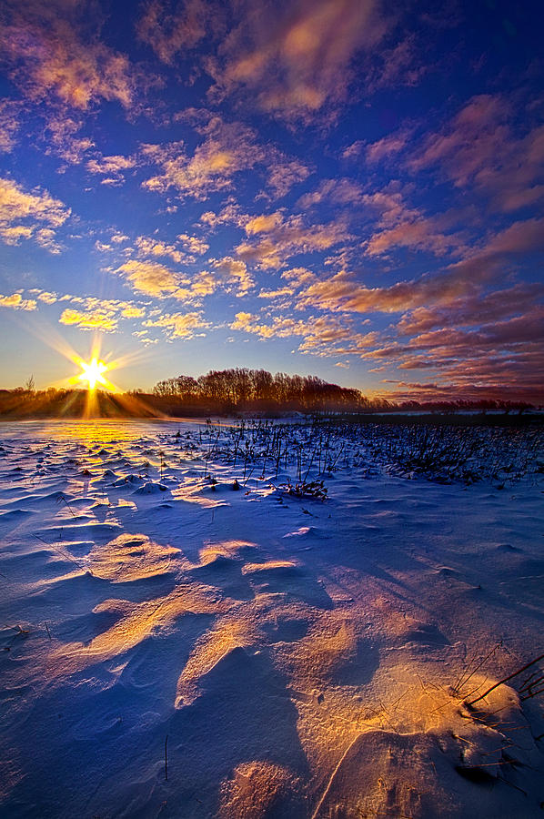 Winter Photograph - Hope Is Never Lost by Phil Koch