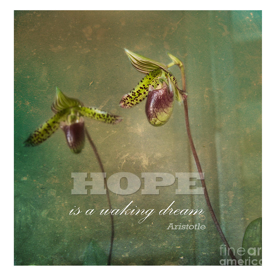 Hope Is Photograph by Sally Simon