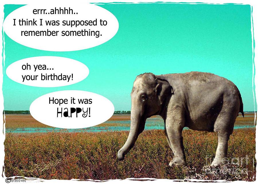 Elephant Digital Art - Hope it was Happy by Lizi Beard-Ward