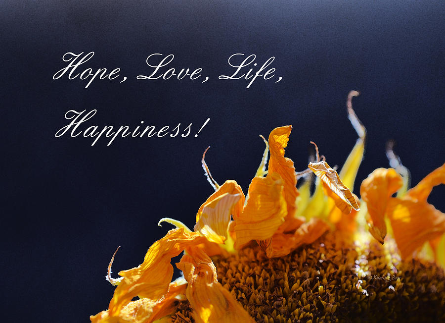 Hope Love Life Happiness Photograph by Xueling Zou
