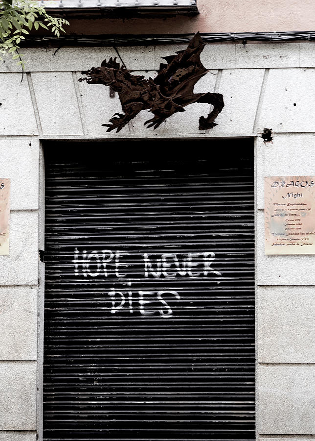 Hope Never Dies Photograph by Lorraine Devon Wilke