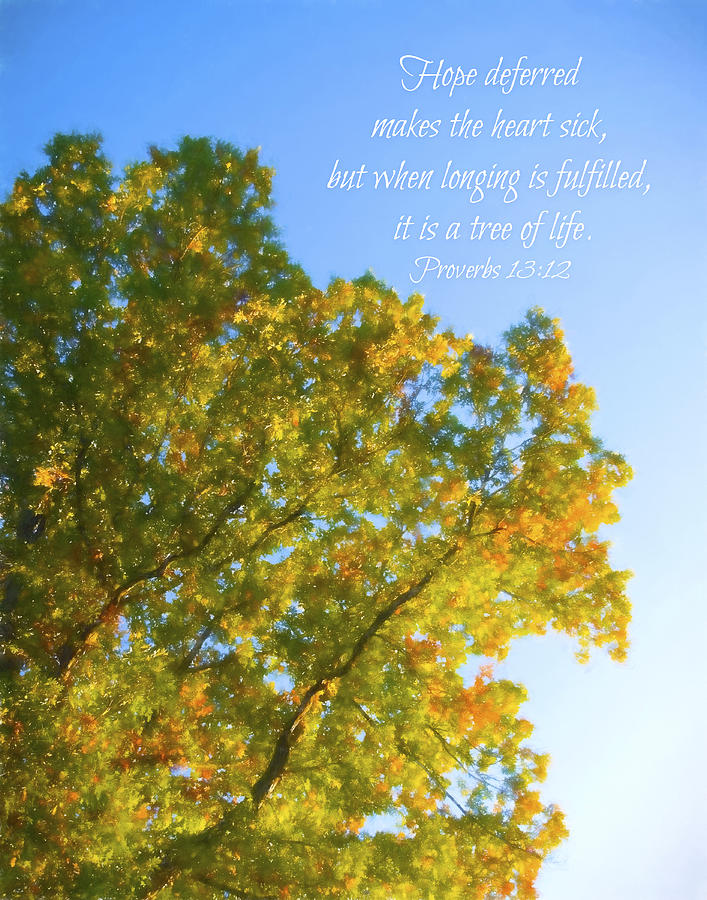Hope tree of life Proverbs 13 Photograph by Denise Beverly
