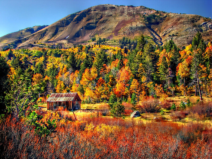 Hope Valley Fall Color Photograph by Scott McGuire