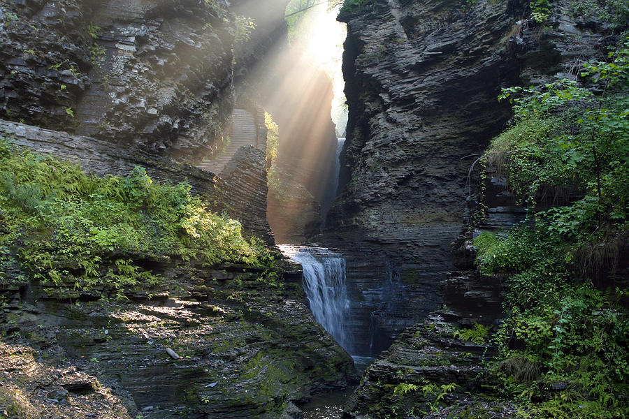 Tree Photograph - Hopeful Rays Spotlight Minnehaha Falls by Gene Walls