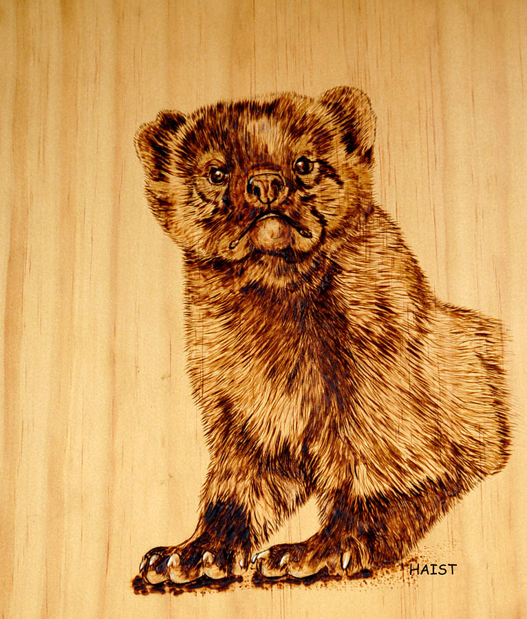 Hopes Marten Pyrography by Ron Haist