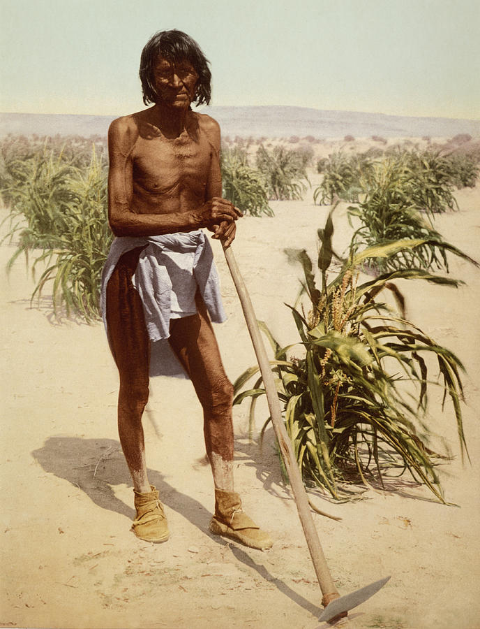 Hopi Man With A Hoe Photograph by William Henry Jackson
