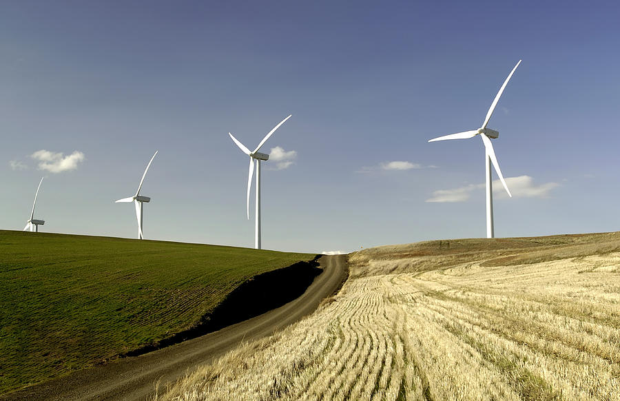Hopkins Ridge Wind Farm, Washington Photograph by Theodore Clutter