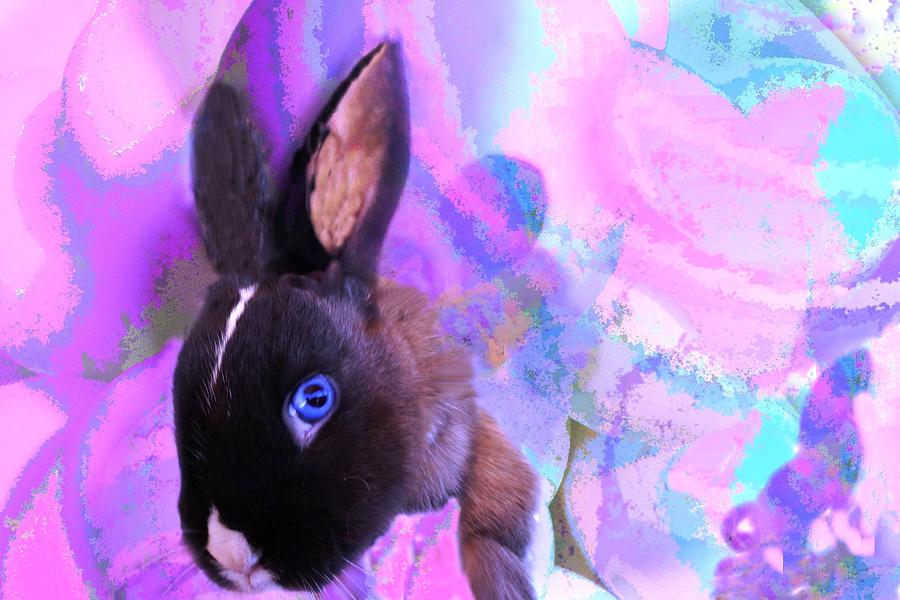 Hoppy Easter Painting