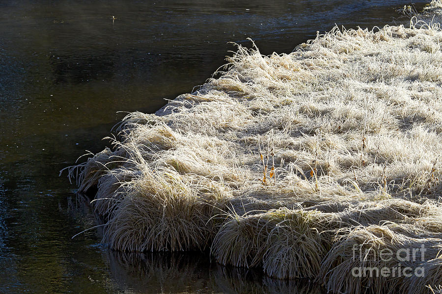 Hore Frost On The Gibbons River   #9896 Photograph by J L Woody Wooden