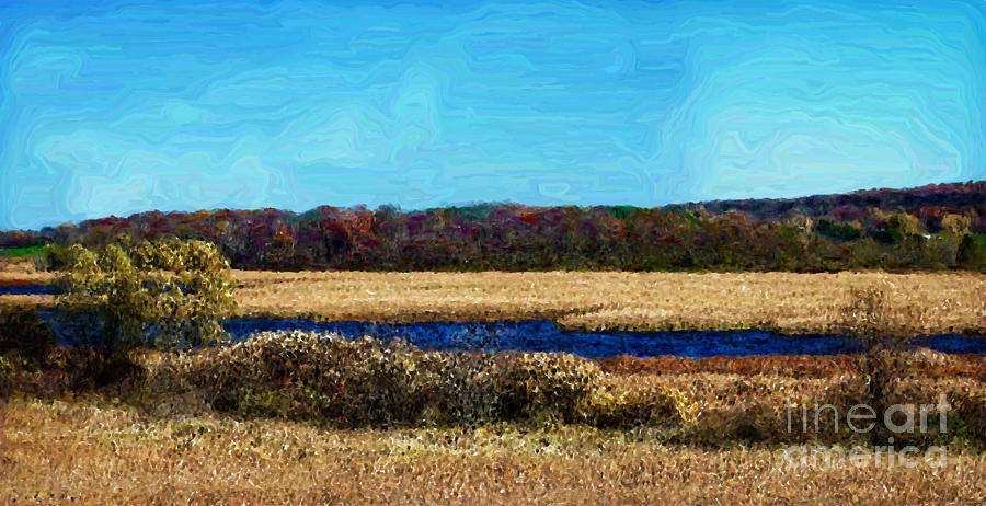 Horicon Marsh - Digital Oil Photograph by Mary Machare