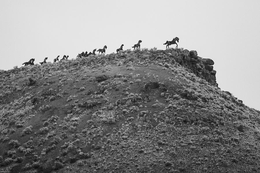 Mountain Photograph - Horizon Horse by Paul Bartoszek