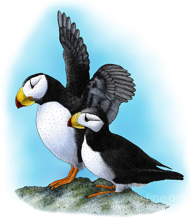 Puffin Photograph - Horned Puffins by Roger Hall