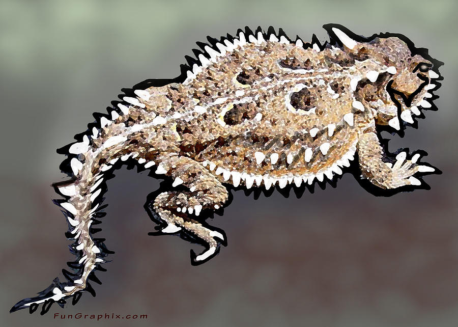 Horny Toad Digital Art - Hornytoad by Kevin Middleton