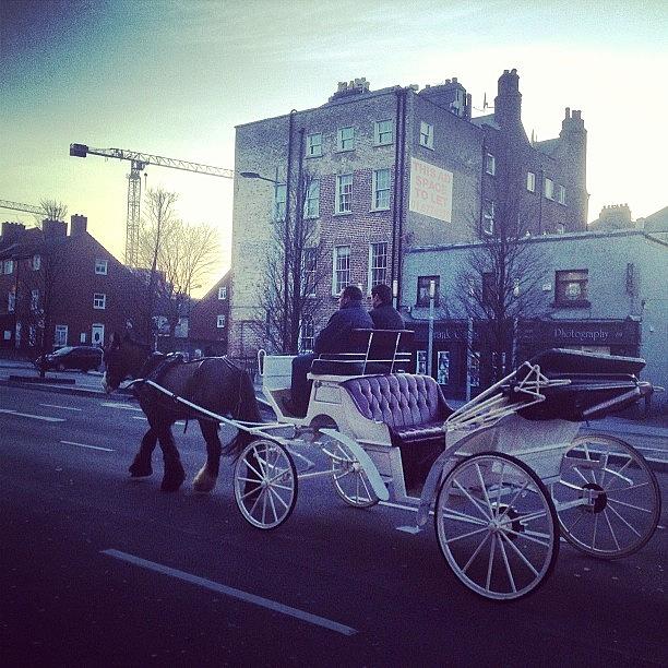 Horse & Carriage On Dorset Street Photograph by David Lynch