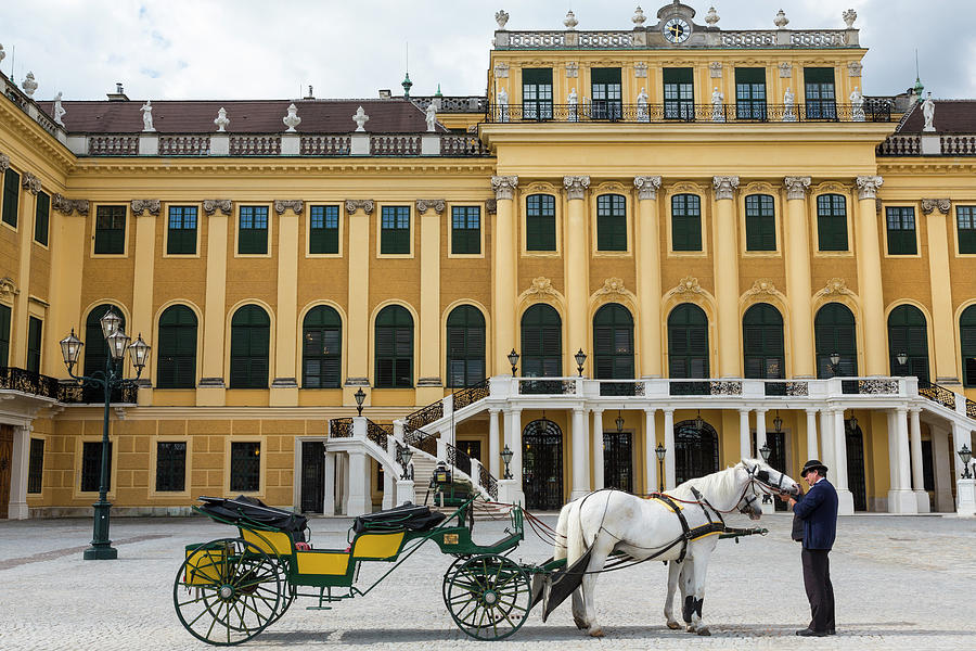 Horse & Carriage, Palais De Schonbrunn Photograph by Peter Adams