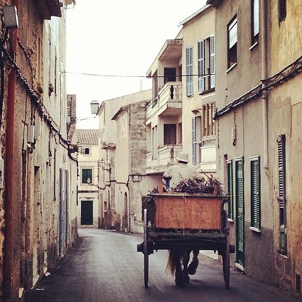 Horse Photograph - #horse & #cart On The Historic #streets by Balearic Discovery
