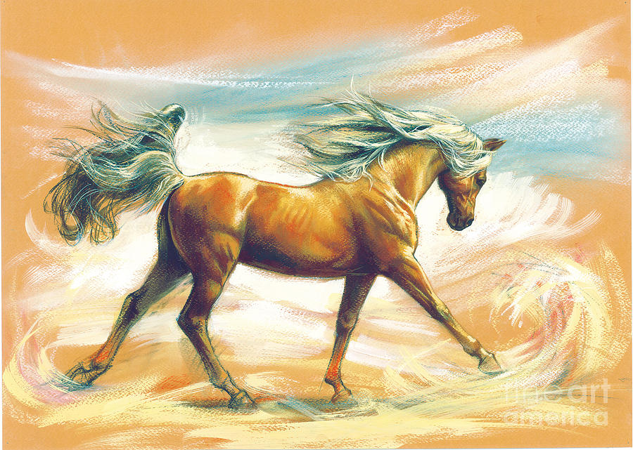 Horse Digital Art - Horse Akalteke by MGL Meiklejohn Graphics Licensing