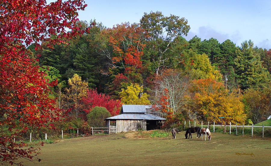 Horse and Barn in the Fall 3 Photograph by Duane McCullough