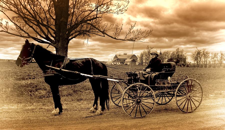 Horse and Buggy Antique Photograph by Henry Kowalski