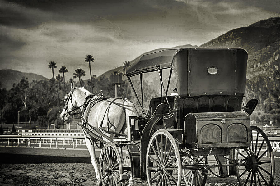 Horse and Buggy Photograph by Camille Lopez