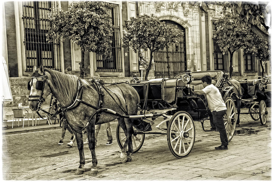 Horse and Buggy - Sevilla, Spain Photograph by Madeline Ellis