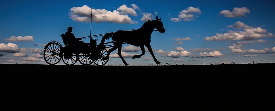 Horse and Buggy Mennonite Photograph by Henry Kowalski