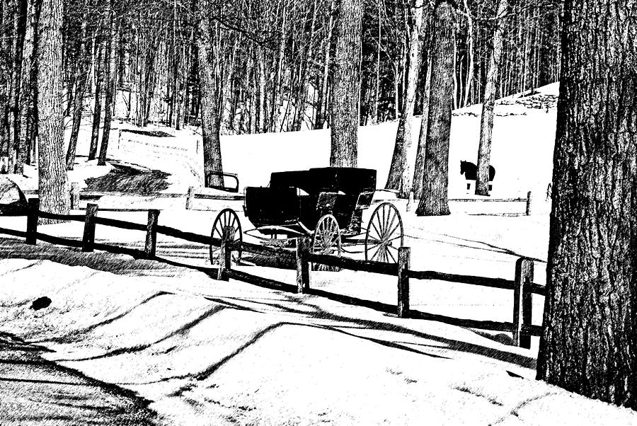 Horse and Buggy - No Work Today a Black and White Abstract Photograph by Janice Adomeit