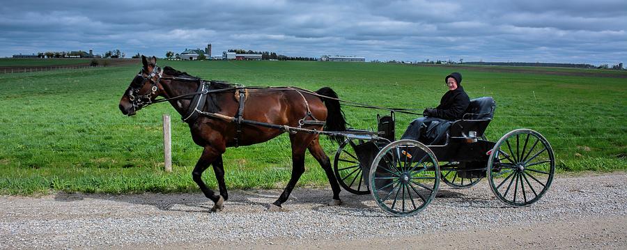 Horse And Buggy on the Farm Photograph by Henry Kowalski