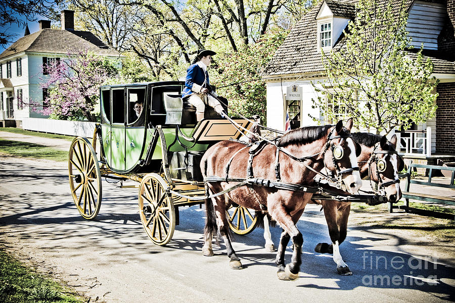 Horse and Buggy Photograph by Timothy Hacker