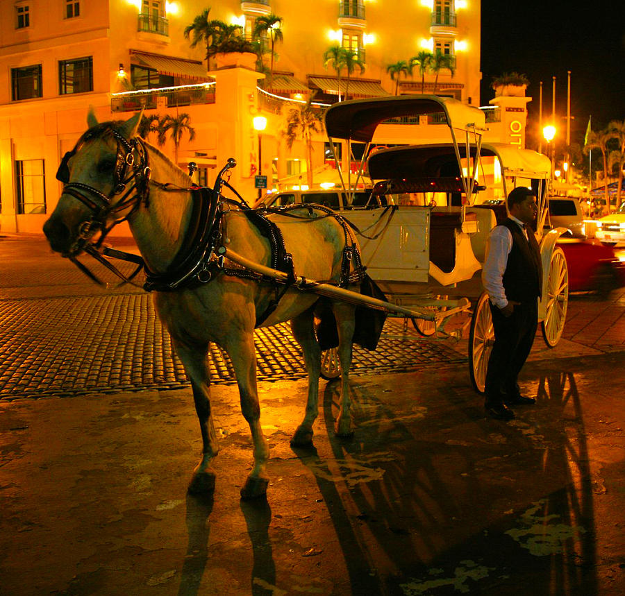 Horse and Carriage in San Juan Photograph by Jim Vance