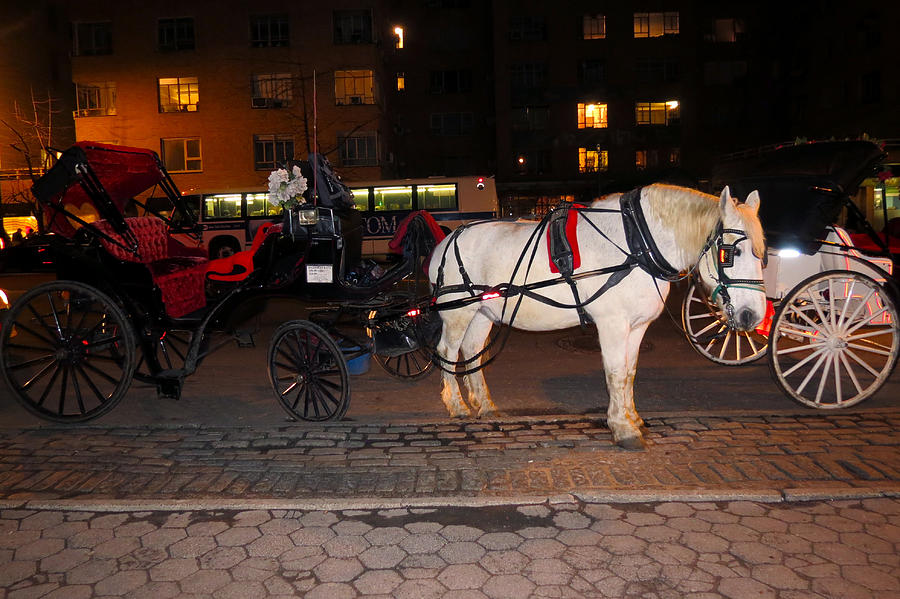 Horse and Carriage On The Circle Photograph by Terry Wallace