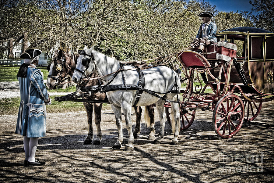 Horse and Carriage Photograph by Timothy Hacker