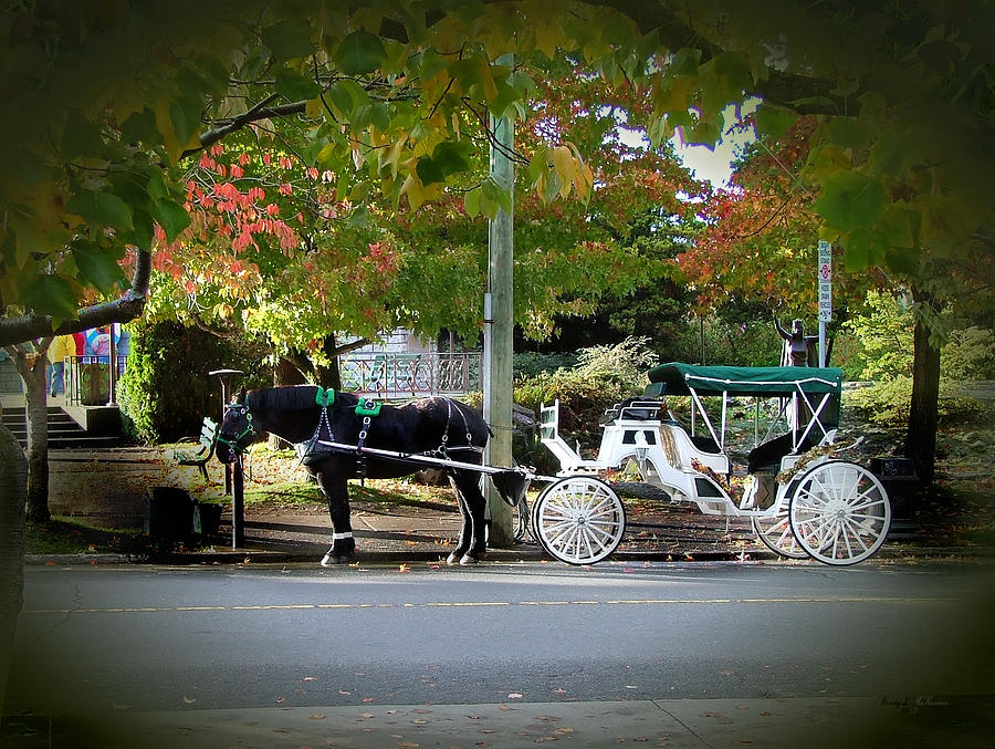 Horse and Carriage Photograph by Wendy McKennon